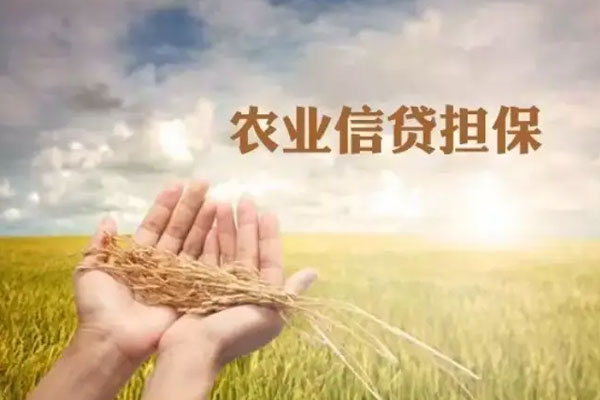 关于进一步做好全国农业信贷担保工作的通知
